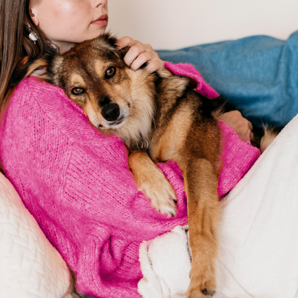 Bom Pet: Assistência, Saúde e Cremação Pet